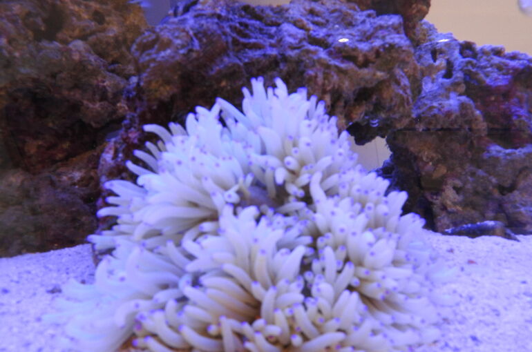 DSCN0108