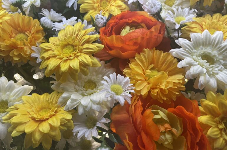 S__224862374