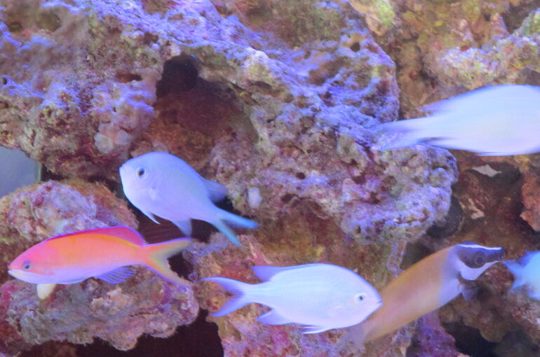 IMG_1606 (1)
