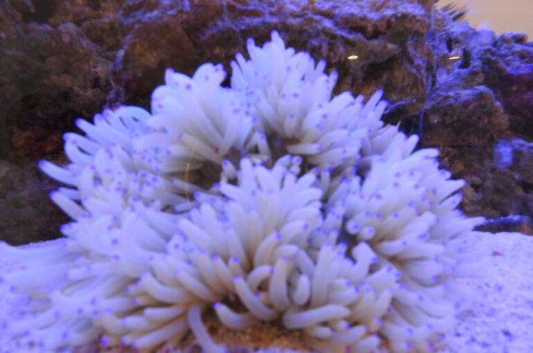 DSCN0112