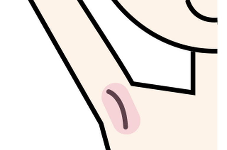 waki-m