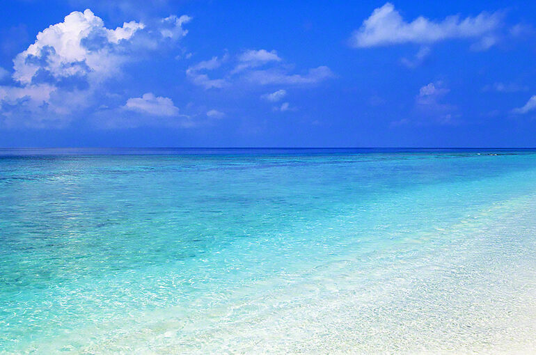海
